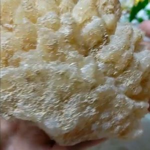 Meet your Posher, Elena